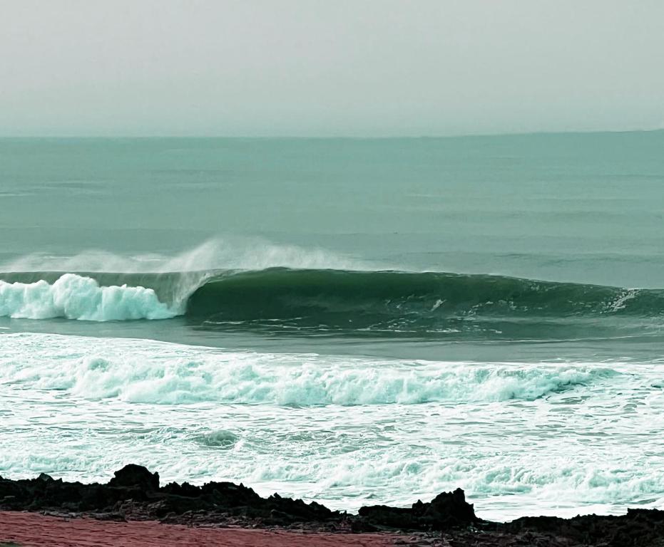 Příroda nedaleko vily
