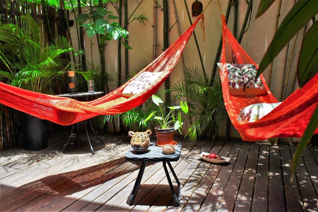 two hammocks and a table with a dog on it at Maya Vacanze Playa Natural in Playa del Carmen