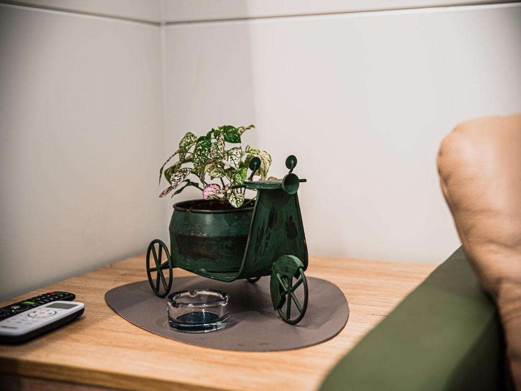 une plante dans un chariot vert sur une table dans l'établissement Lake Serenity Premium Mobile Homes-Two Bedroom, à Mostec