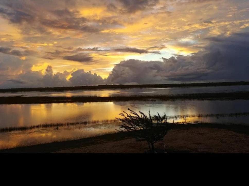 Naturlandskabet i nærheden af hotellet
