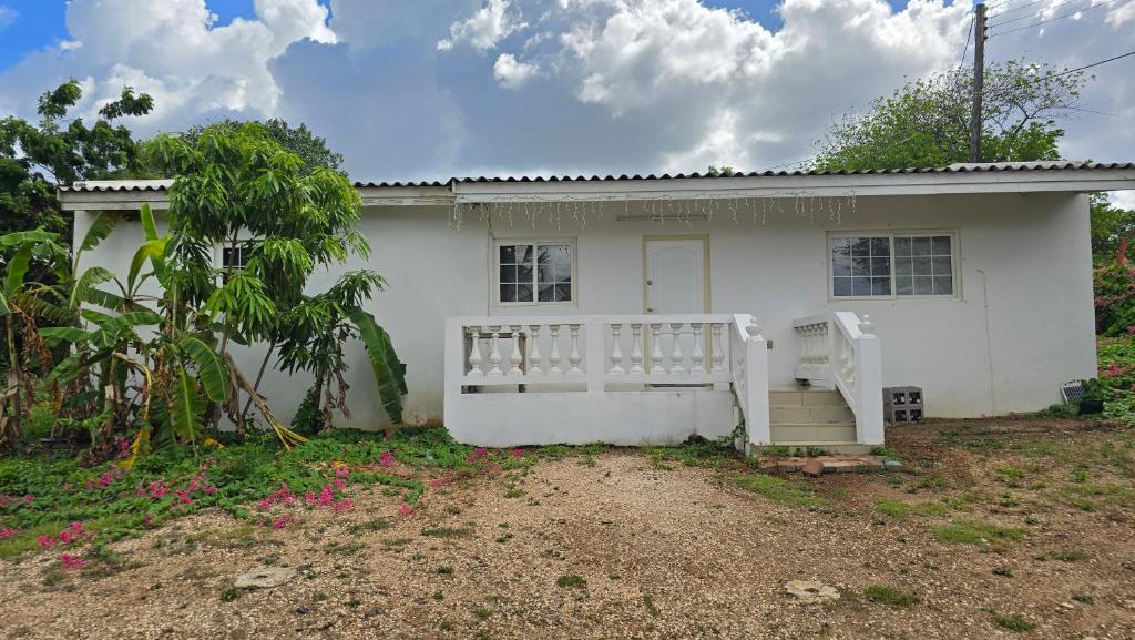 a white house with a porch and a driveway at Island Nest Apartment in Willemstad
