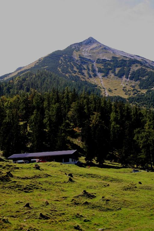 Paesaggio naturale nelle vicinanze dell'appartamento