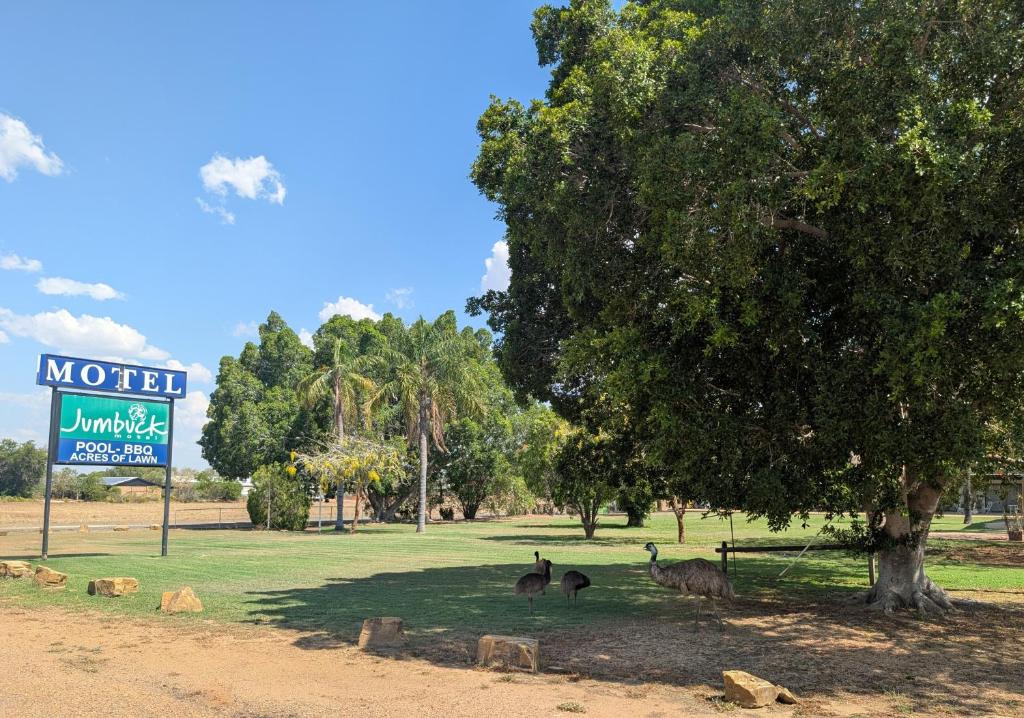 Un grupo de animales de pie bajo un árbol en un campo. en Jumbuck Motel, en Longreach
