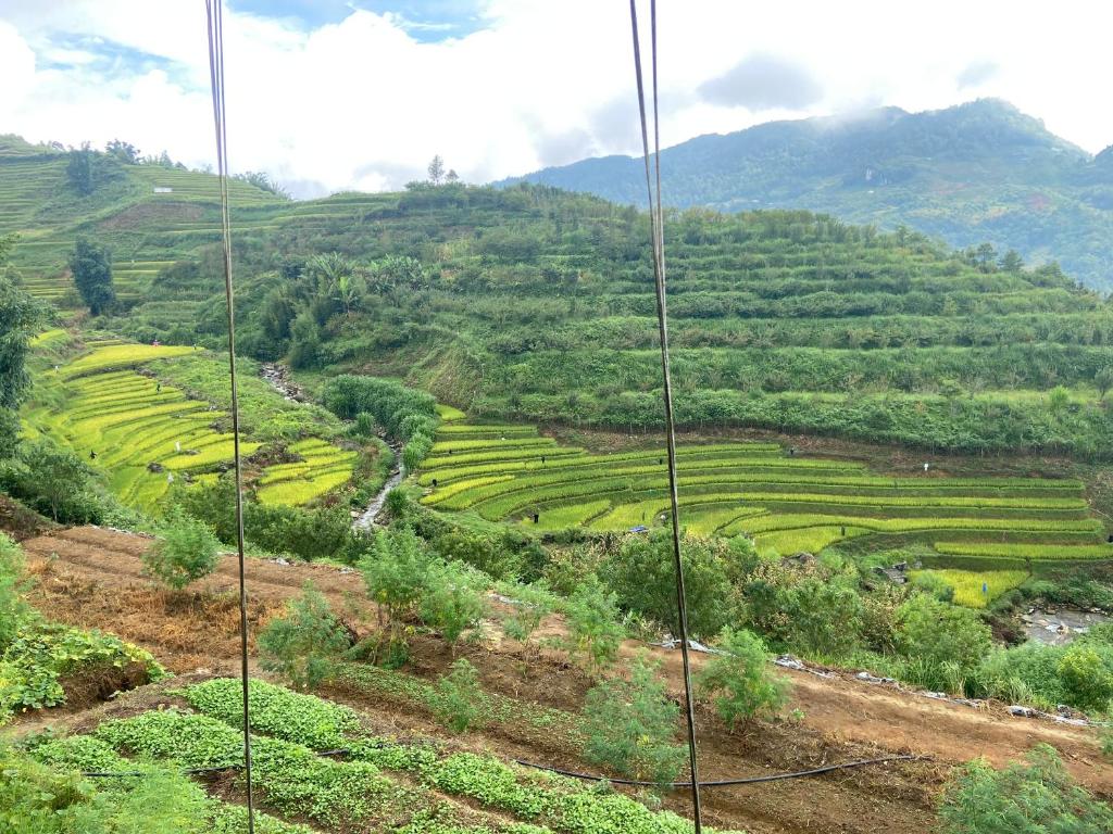 una vista di una collina con campi di riso di Sen Sapa Retreat & Tours a Sa Pa