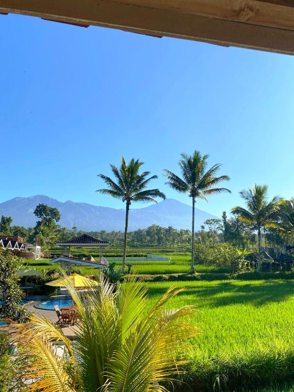 Tetebatu Flush Harmony - Triple Room With View