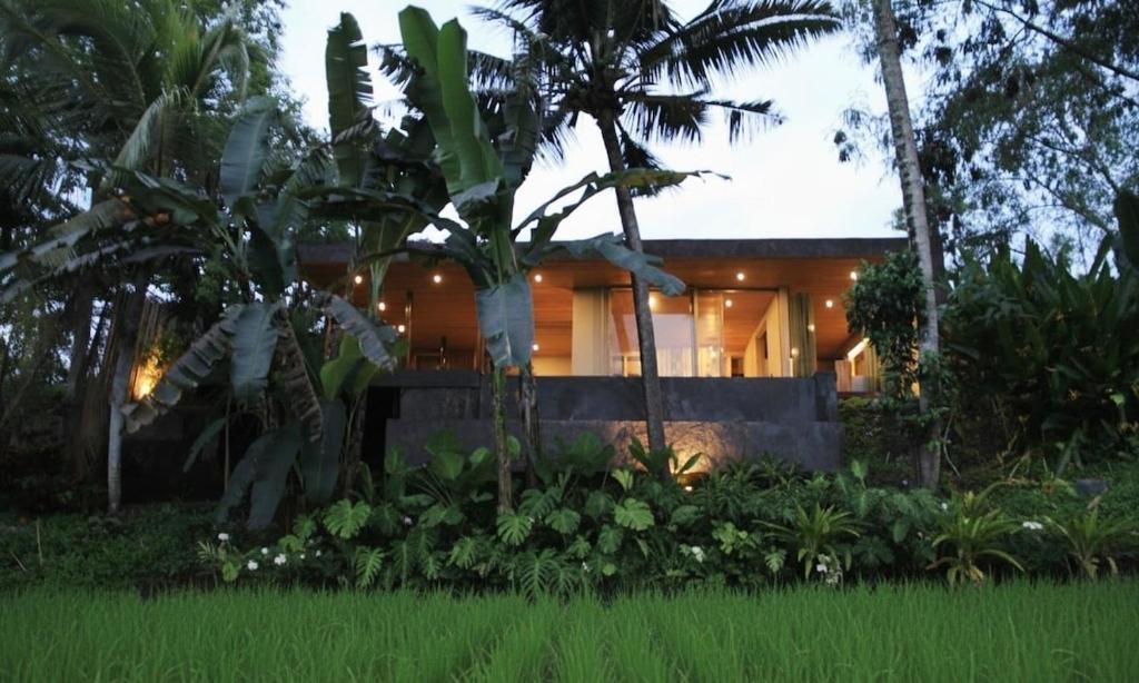 una casa con una palmera delante en Soma Beach House, en Balian