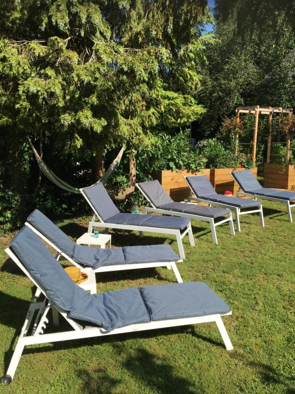 une rangée de chaises longues assises dans l'herbe dans l'établissement Villa des glycines et Spa nordique à 1h30 de Paris, à Cempuis