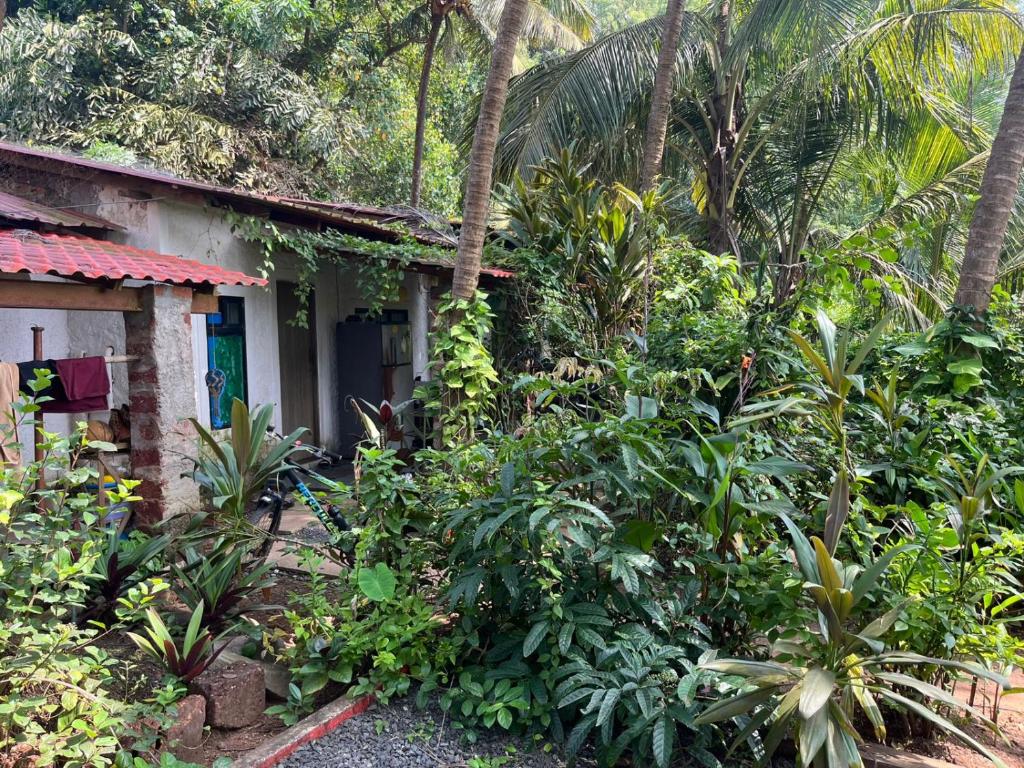 QuerimCommon ground by bunkd hostels的森林中的一座小房子