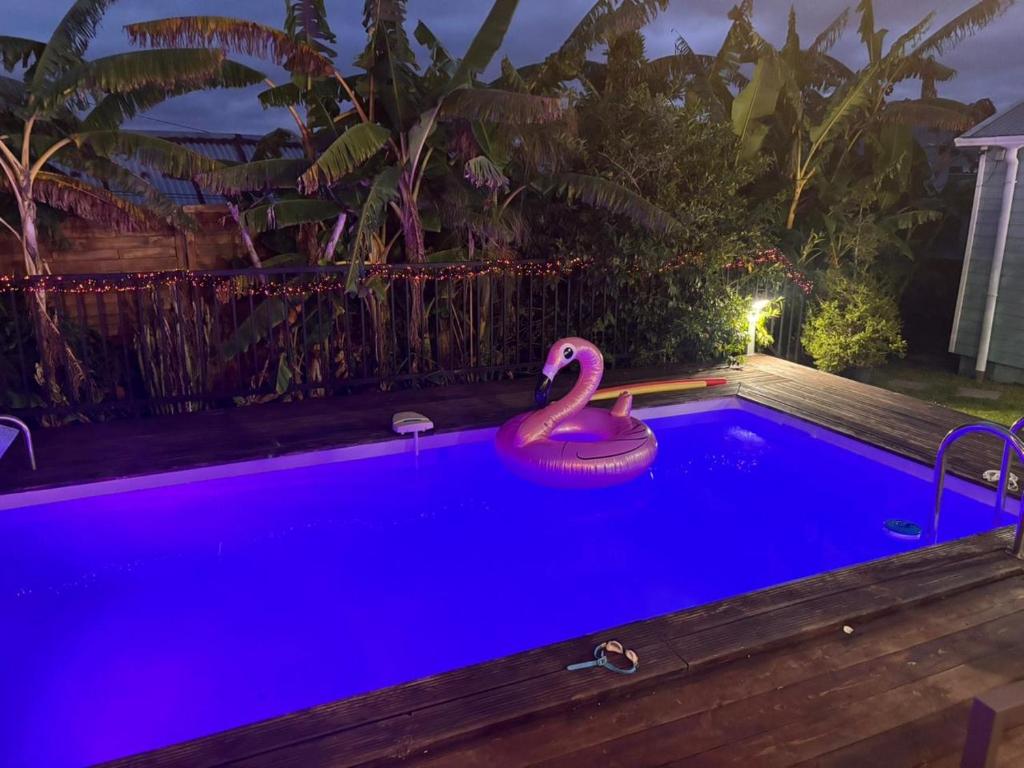 a swimming pool with a pink flamingo in the water at night at La case d'Édith in Le Tampon