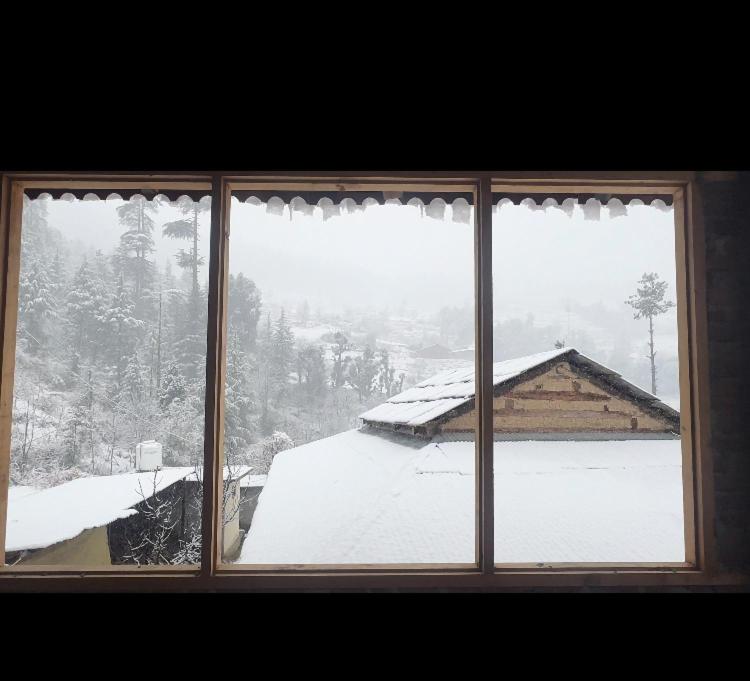 Φωτογραφία από το άλμπουμ του Oreos cafe and stay shangarh σε Shangarh