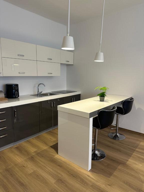 Η κουζίνα ή μικρή κουζίνα στο CenterPoint Apartment