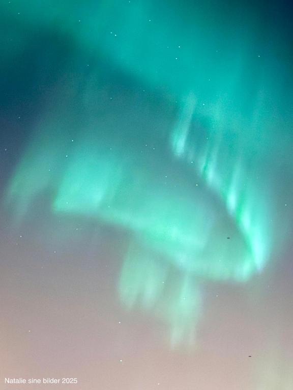 SenjaStranda Apartment的天空中北极光的图像