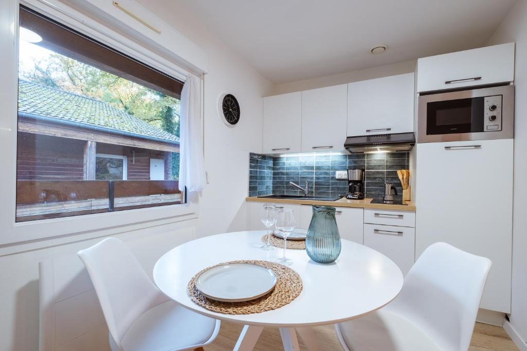 Kuchyň nebo kuchyňský kout v ubytování Studio centre thermal touristique - Casa Amnéville