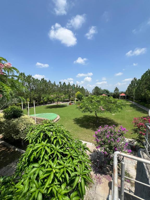 Zahrada ubytování Royal Heaven Garden