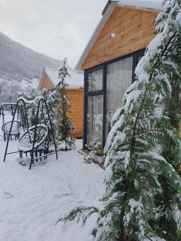 Το Boga Cabins τον χειμώνα