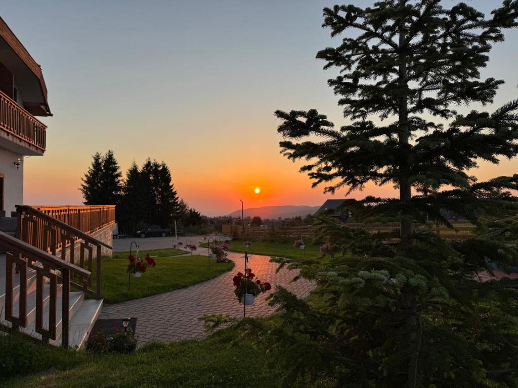 a sunset over a pond with a tree at Pensiunea Roua Brazilor Mărișel in Mărişel