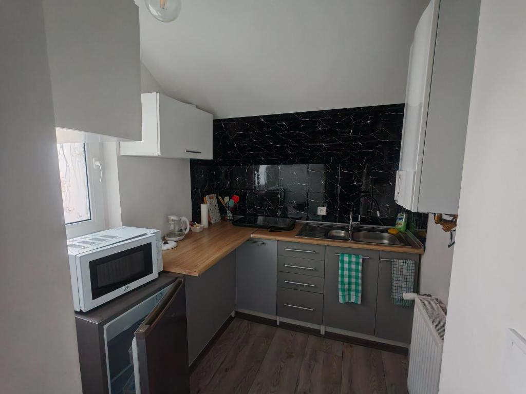 une petite cuisine avec un évier et un micro-ondes dans l'établissement Apartament "Jeleń" Jelenia Góra - Cieplice, à Jelenia Góra