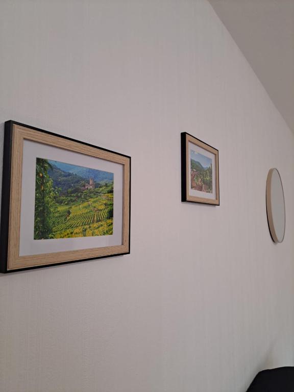 Résidence le château Kaysersberg – photo 14