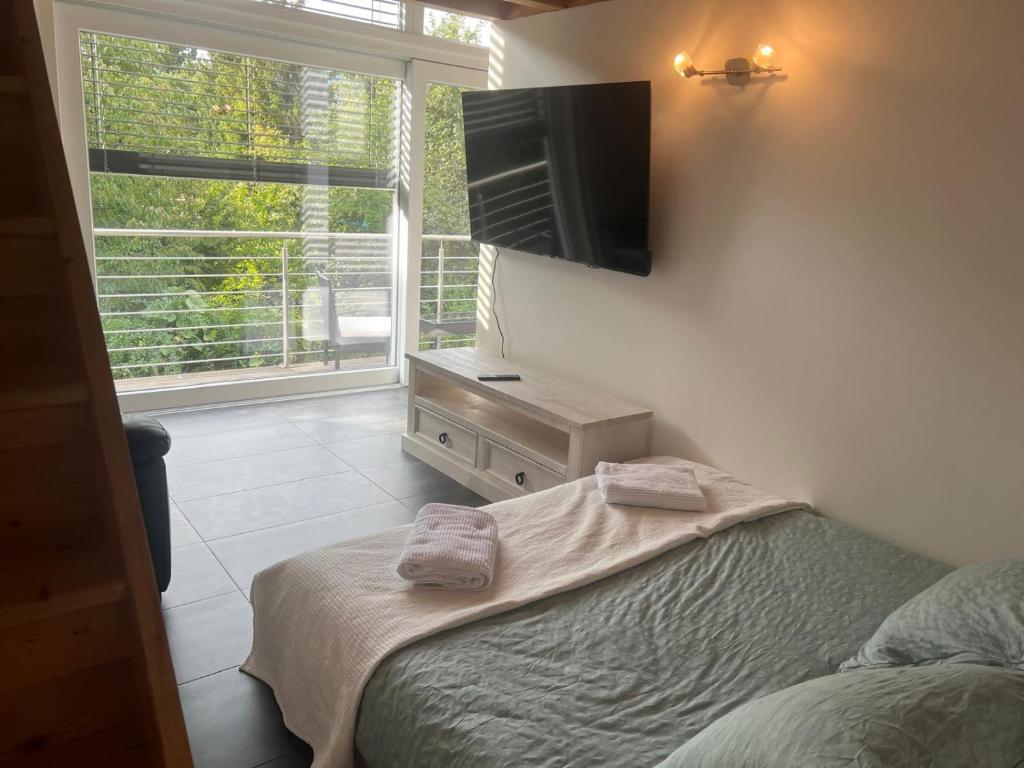 a bedroom with a bed and a flat screen tv at Loft lumineux et confortable in Grimisuat