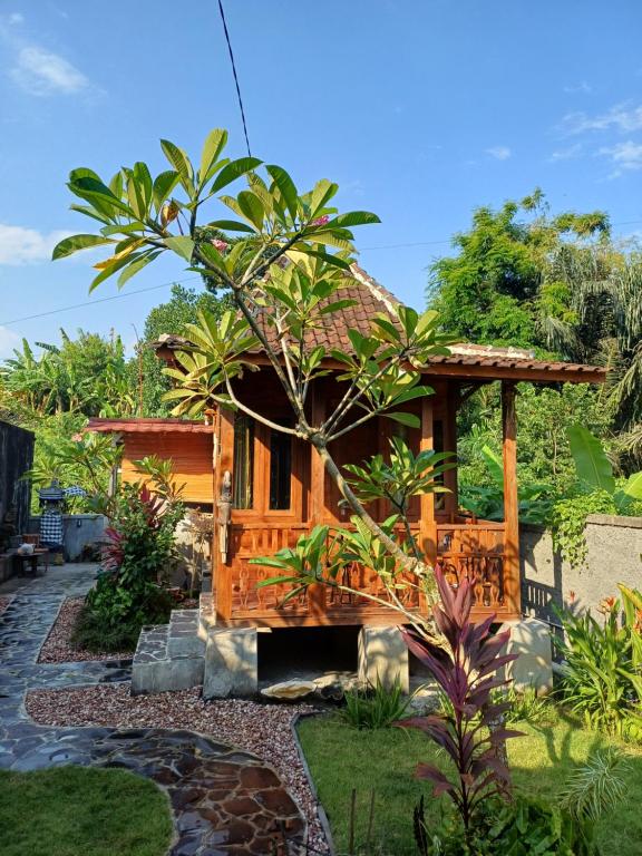 Zahrada ubytování Mondok Dini