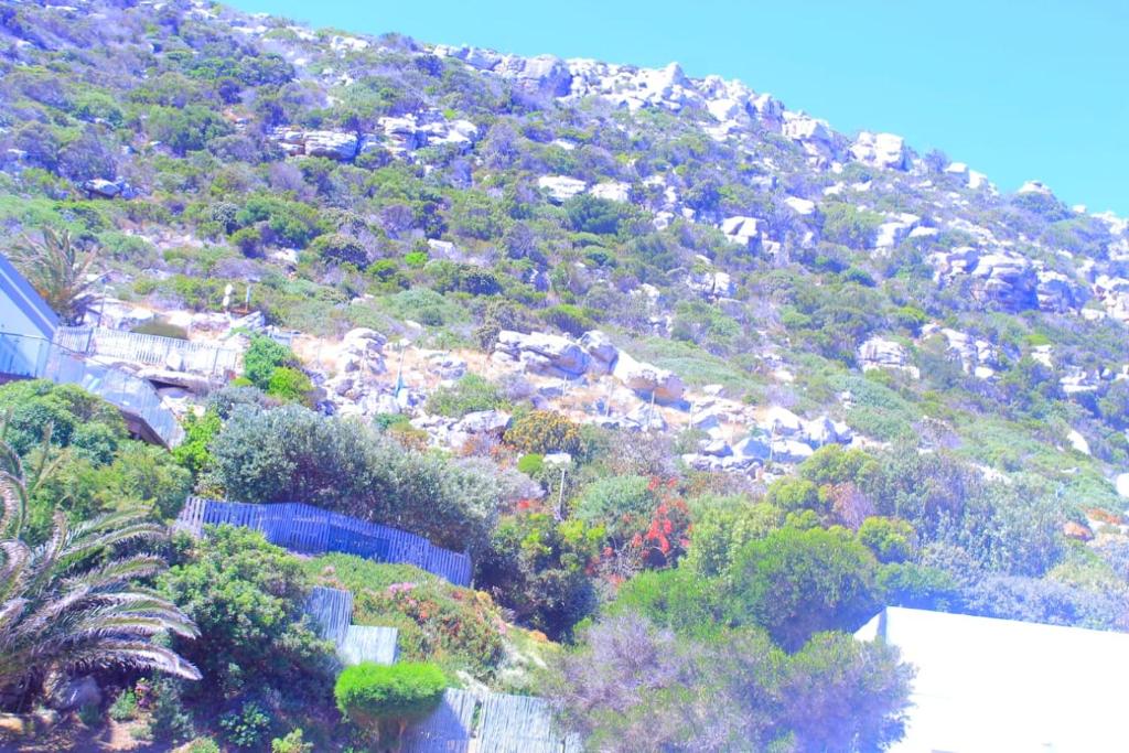 uma vista para uma colina com árvores e casas em Oasis em Glencairn