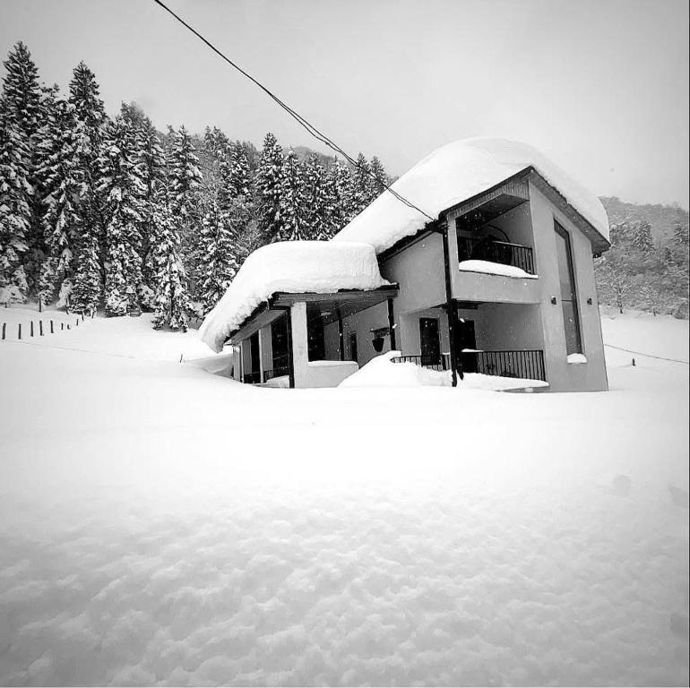 Φωτογραφία από το άλμπουμ του House in Daphenili σε Sairme