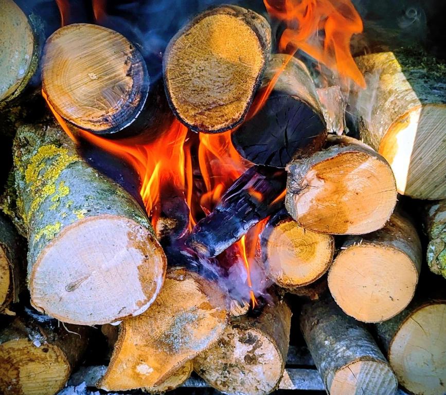 Φωτογραφία από το άλμπουμ του L'Olivine Chambre d'hôtes σε Profondeville