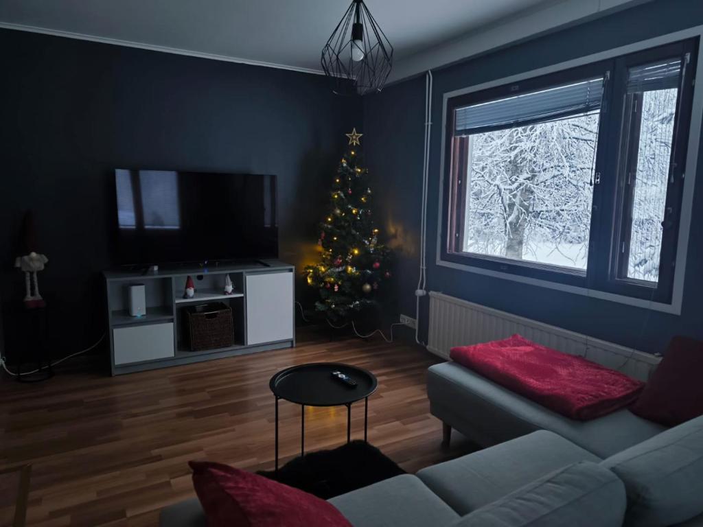 Μια τηλεόραση ή/και κέντρο ψυχαγωγίας στο Borealis House 2