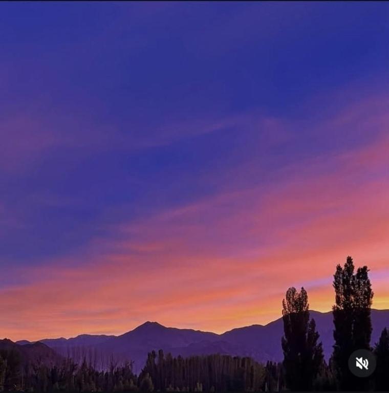 Solanas de Uspallata