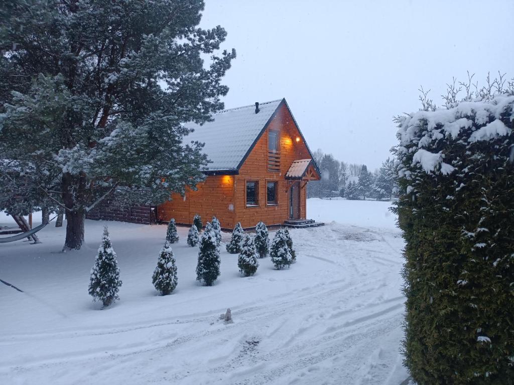 a group of christmas trees in front of a house at Domki Bursztyn in Święta Katarzyna
