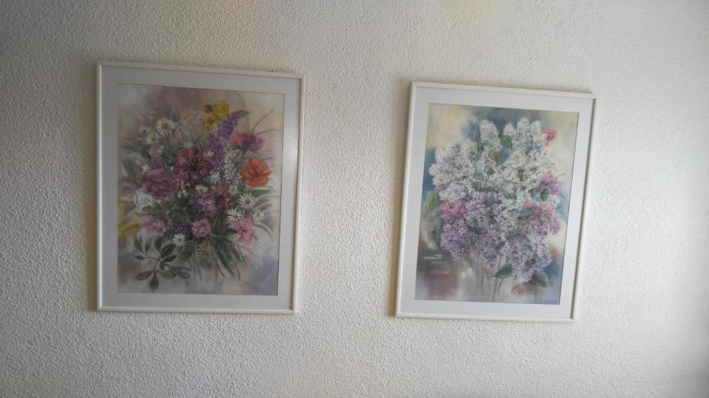 Fotografie z fotogalerie ubytování Pension Egida v destinaci Řež