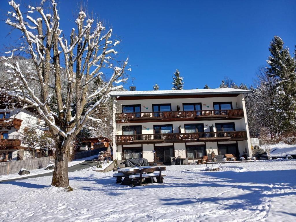 Un edificio en la nieve con un banco y un árbol. en Pension & Apartments Weissbriach, en Weissbriach
