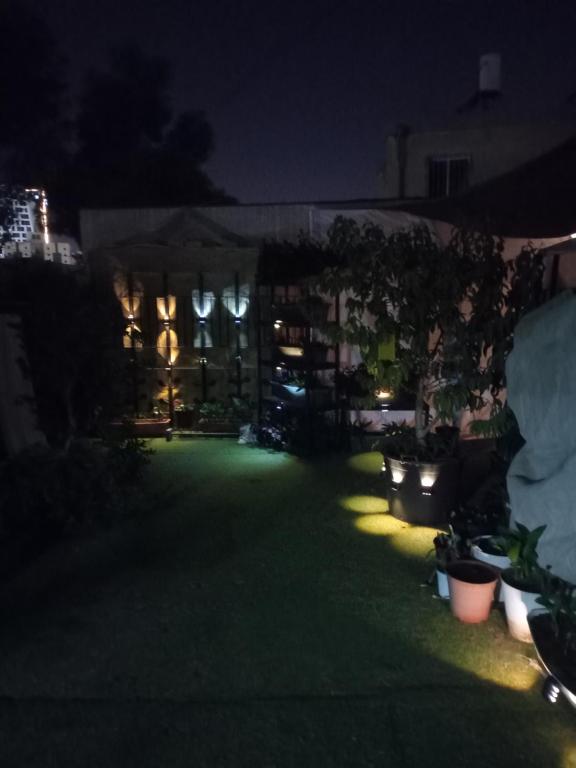 Κήπος έξω από το דור