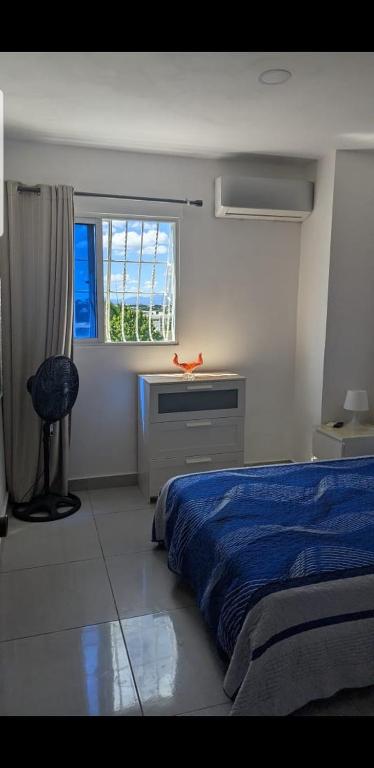 a bedroom with a bed and a desk and a window at Mitaly Apartamentos 111 in Santo Domingo