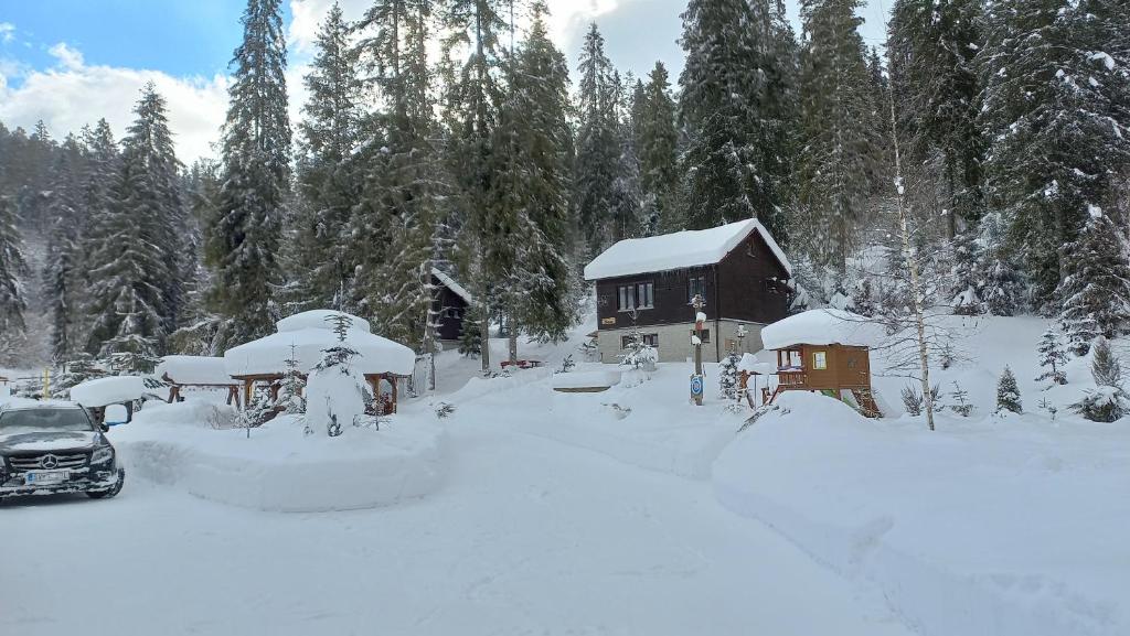 Chaty Studienky v zimě