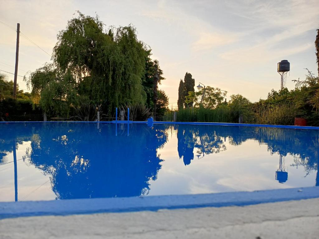 a pool of water with a reflection of a tree at Quinta "El Ángel Gabriel" in Gowland