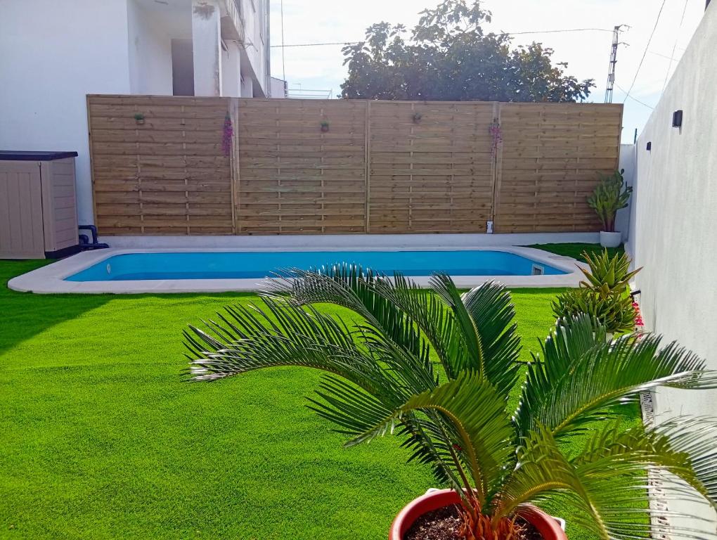 a plant in a pot next to a swimming pool at O Caminho Azul in Olivenza