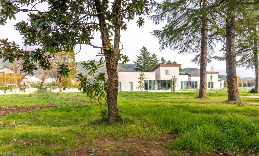 列蒂Nicolò e gli alberi Villino C的一群树木在有建筑物的田野里