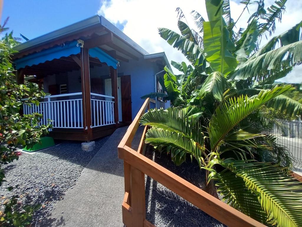 a house with a porch with plants in front of it at Au colibri vert in Trois-Rivières