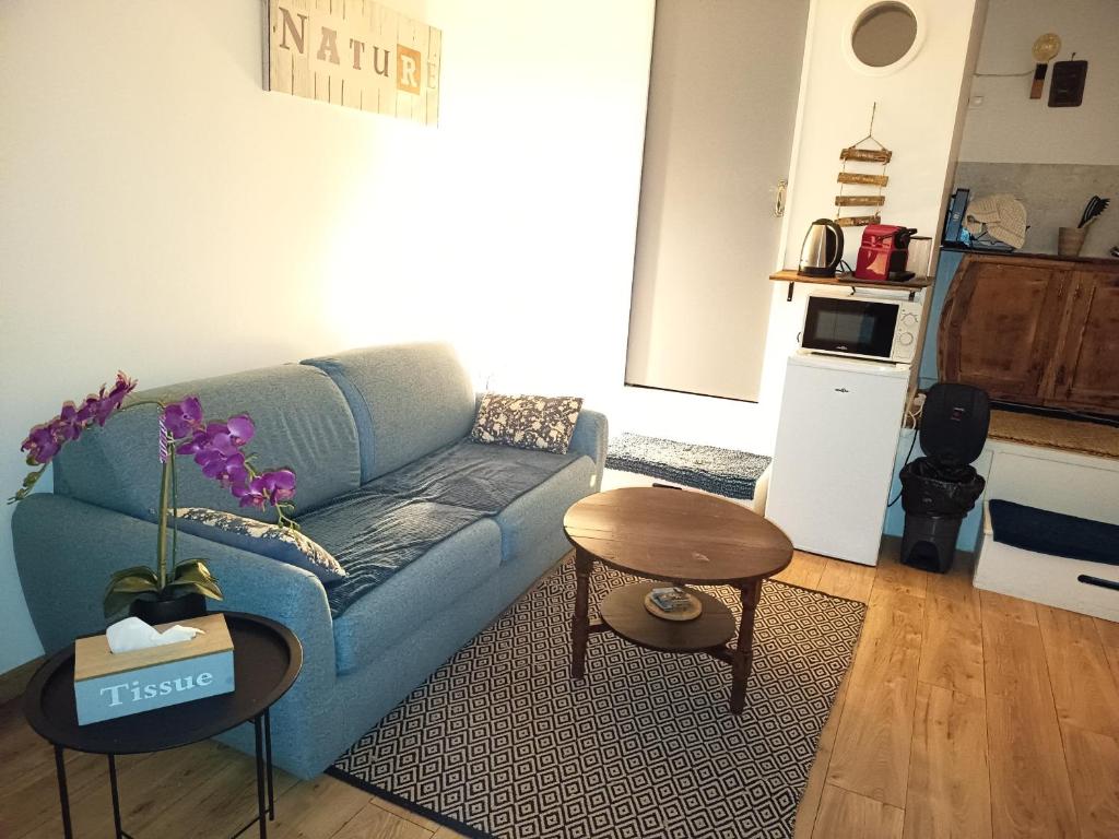 Kuchyň nebo kuchyňský kout v ubytování logement Mezzanine salon indépendant