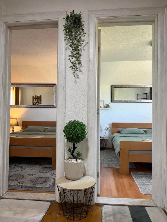 Apartments Baron Žabljak - 7