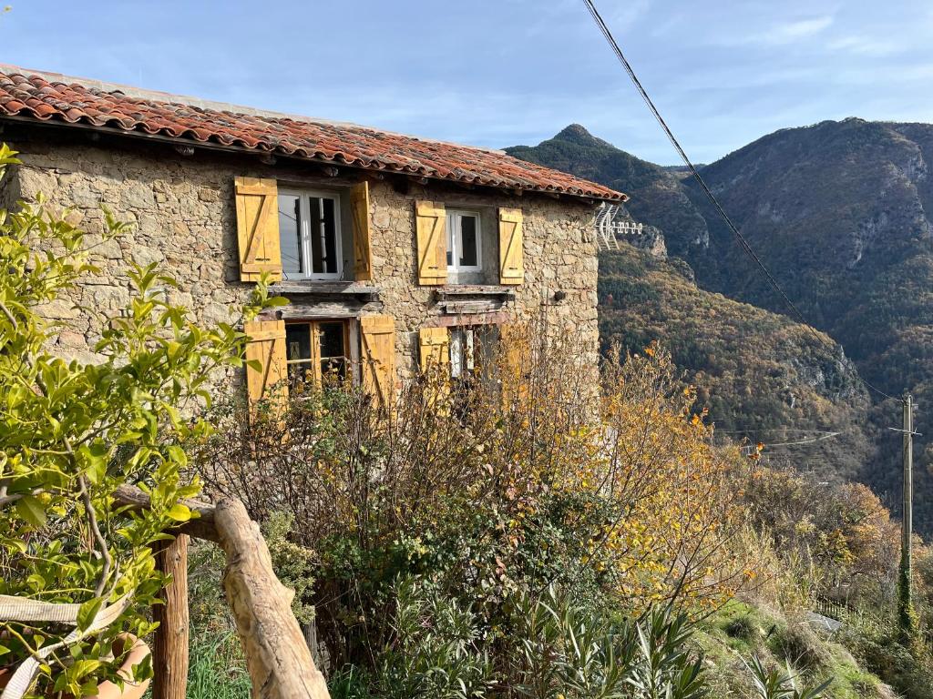 Loodusmaastik puhkemaja lähedal