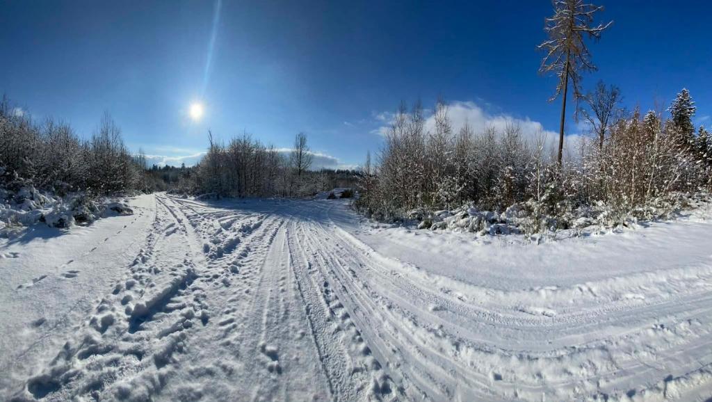 Agroturystyka Ostoja Leśna Domek z widokiem na góry - Chalet De 3 Dormitorios