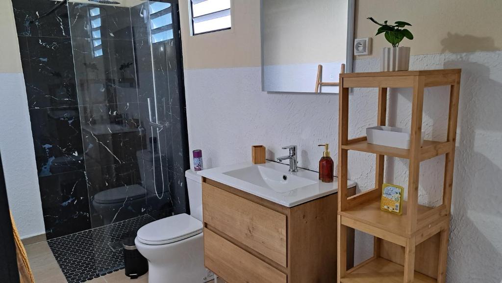 a bathroom with a toilet and a sink and a shower at Fleur de Lys 2 in Petit-Bourg