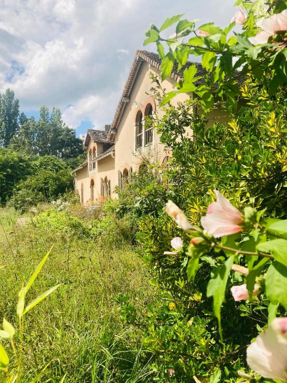 Сад в La Maison Sycomorette