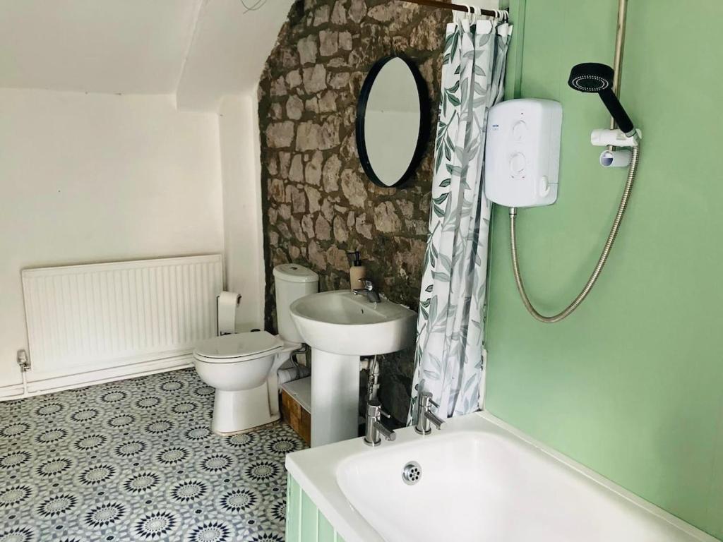 Pen-y-caeNant caer Efail Cottage - Stream by the forge的浴室里有洗手池、马桶和镜子。