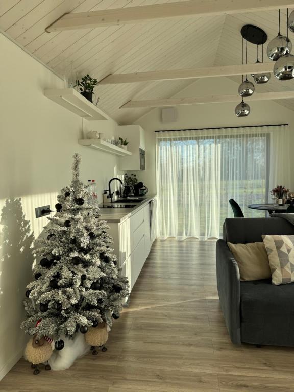 a christmas tree in the middle of a living room at Gabiežezers Holiday House, 30km from Riga in Cena