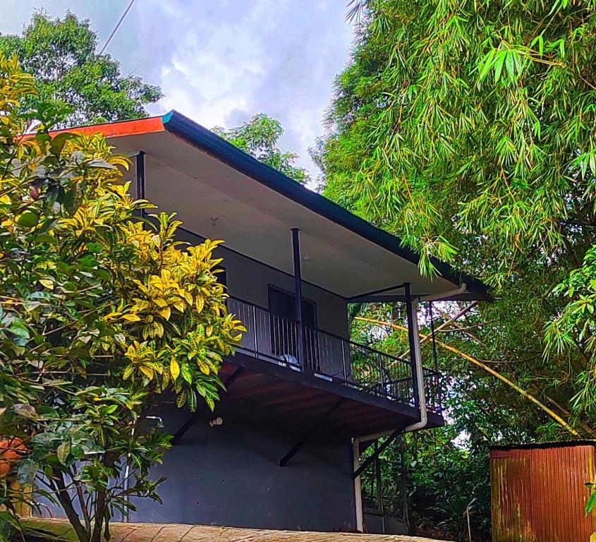 une maison avec un balcon au milieu des arbres dans l'établissement Casa Emma Quepos, à Quepos