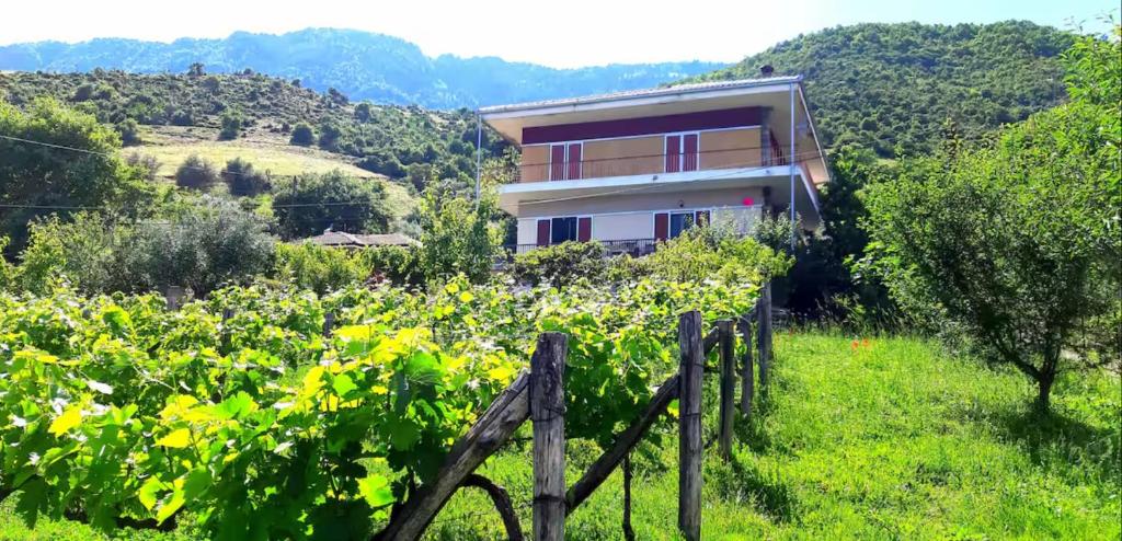 a house on a hill with a fence at Country Home Genesi 20 min from Trikala in Genésion