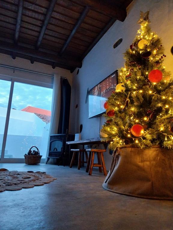 Naturlandskabet i nærheden af feriehuset